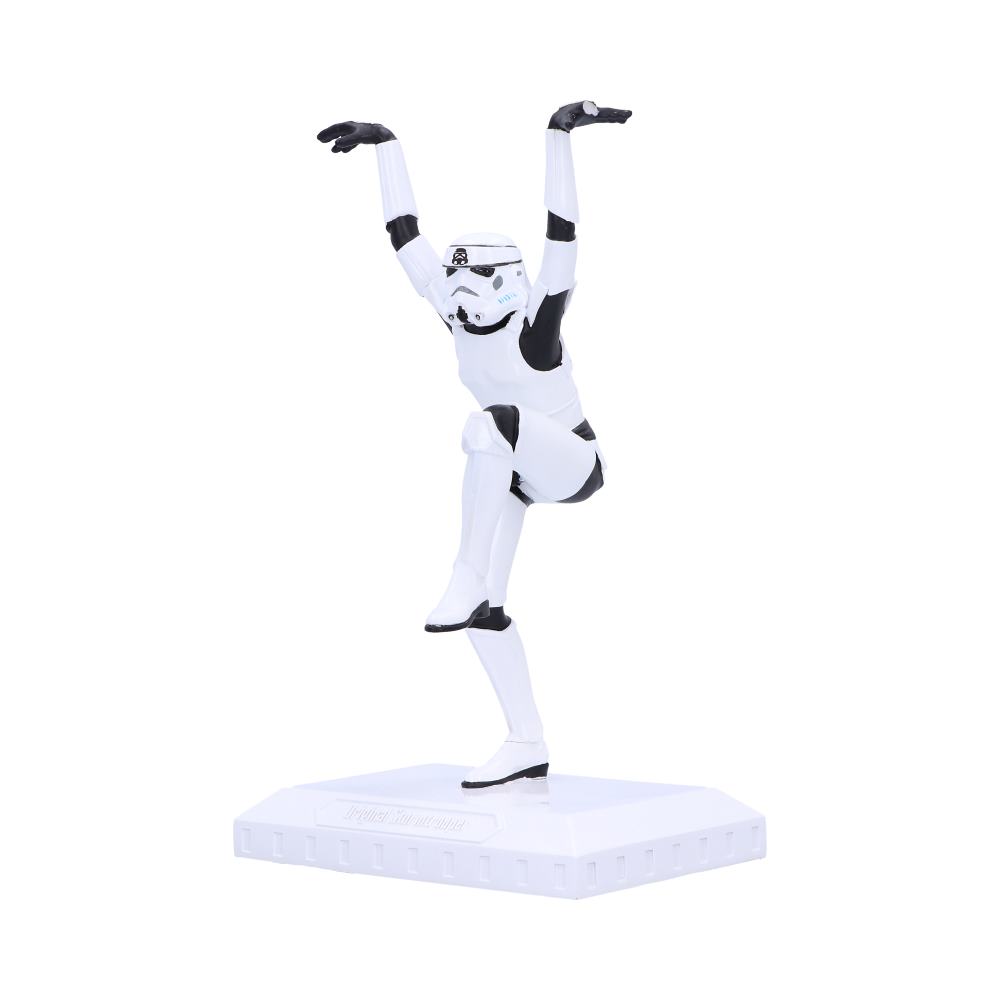 Stormtrooper Crane Kick