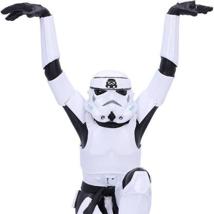 Stormtrooper Crane Kick