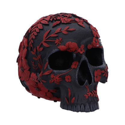 Age of Opium Poppy Skull