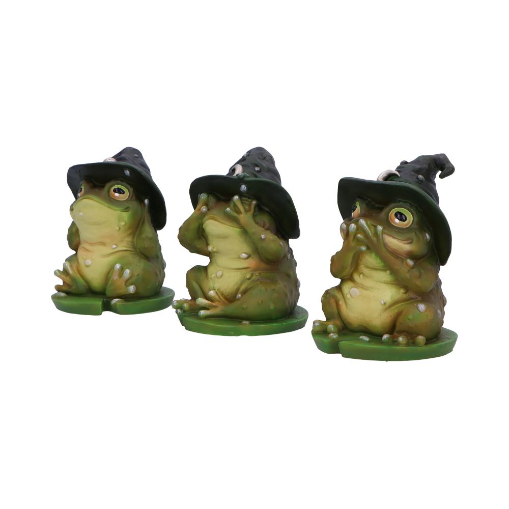 Three Wise Toads