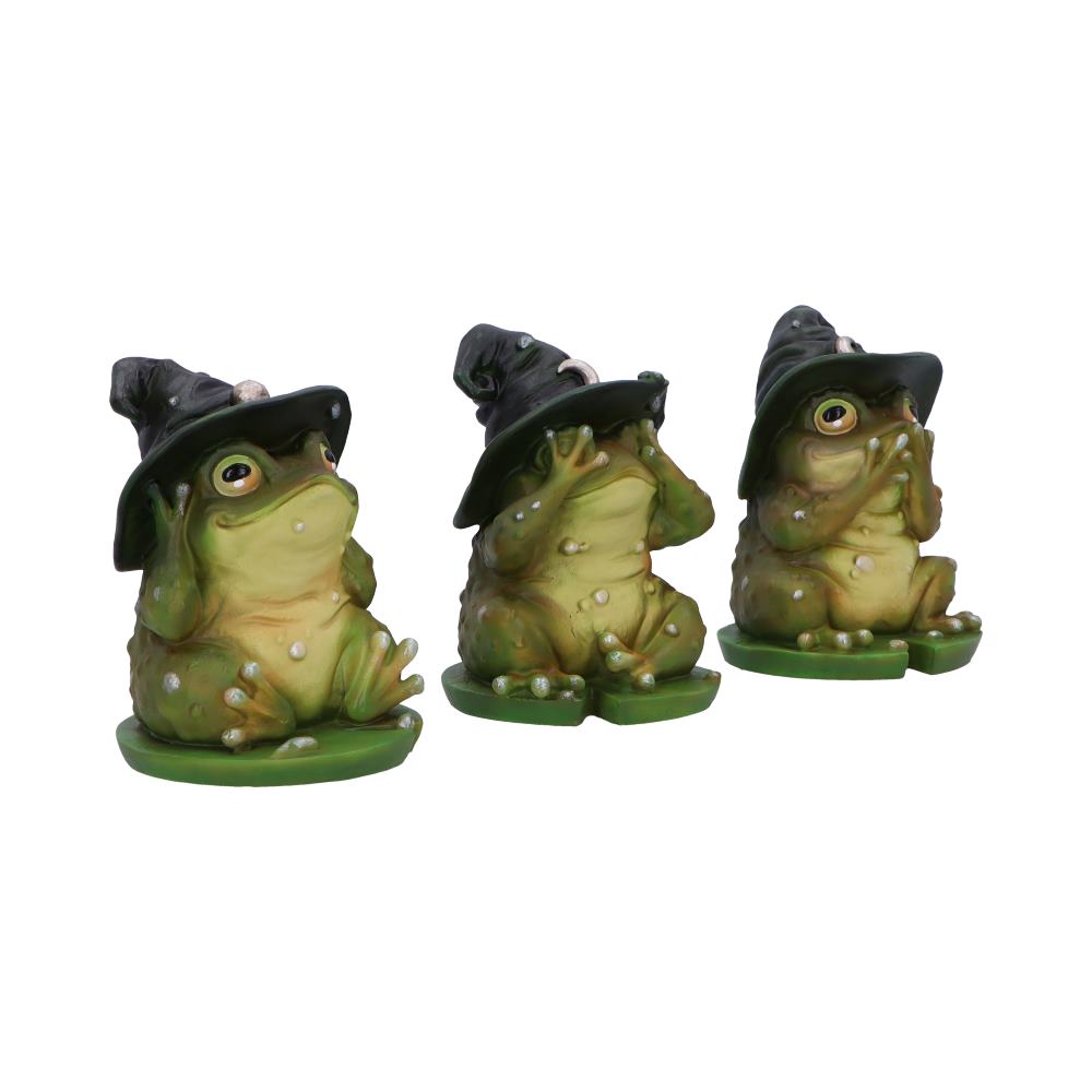 Three Wise Toads