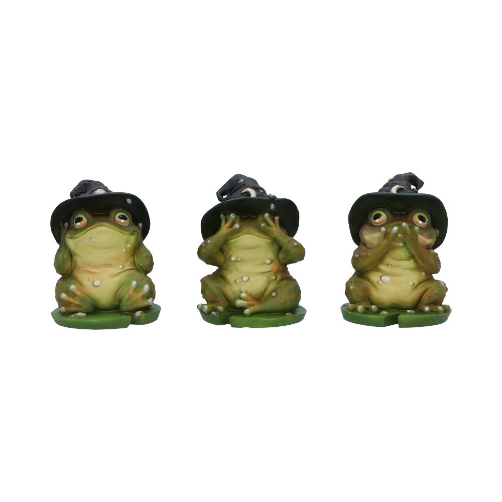 Three Wise Toads