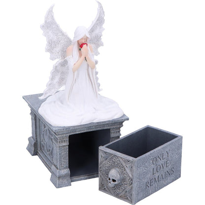 Anne Stokes Only Love Remains Box