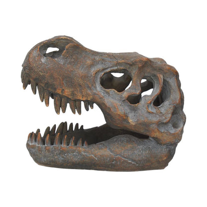 Tyrannosaurus Rex Skull Freestanding