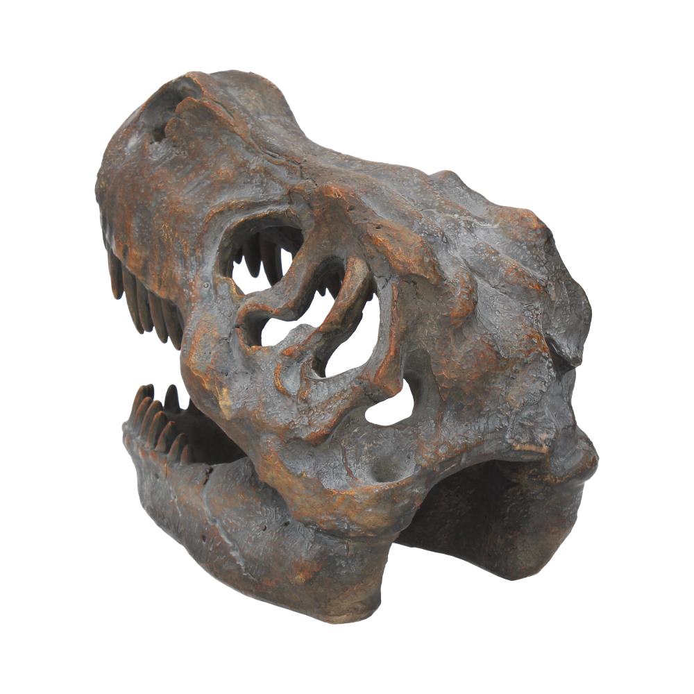 Tyrannosaurus Rex Skull Freestanding