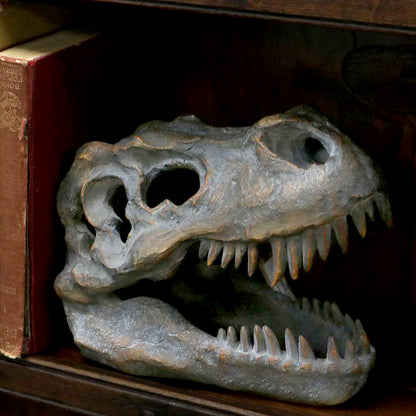 Tyrannosaurus Rex Skull Freestanding