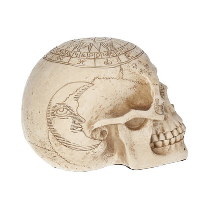 Astrological Skull