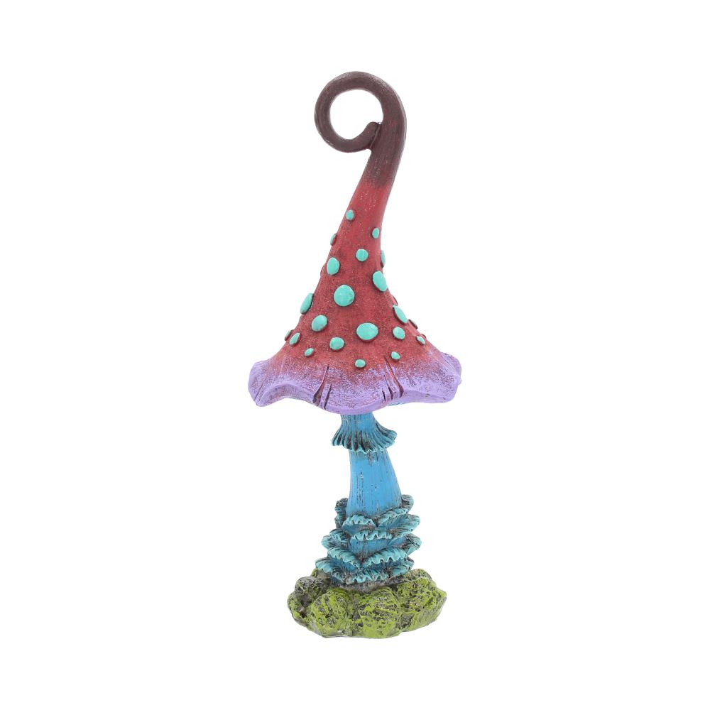 Magic Mystic Mugwump Toadstool