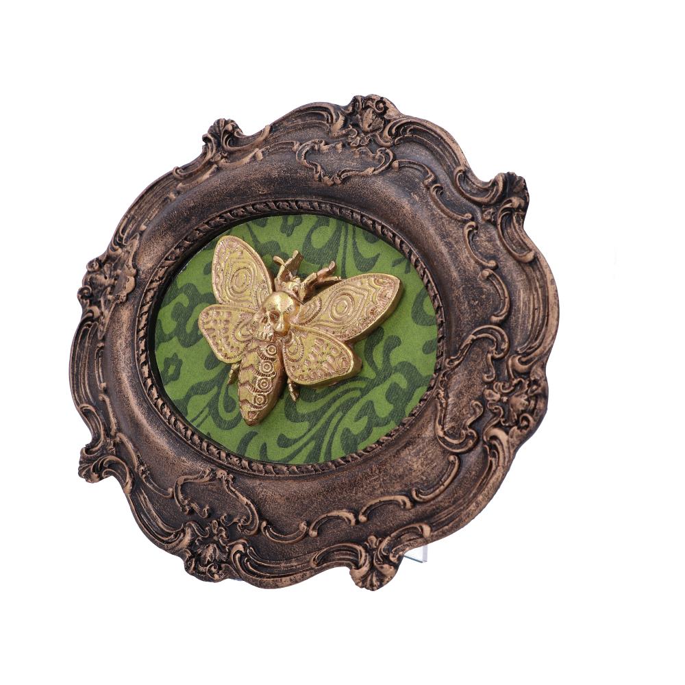 Moth Macabre Baroque Framed Wall Plaque