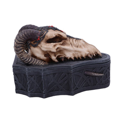 Dragon Skull Box