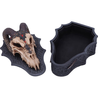 Dragon Skull Box