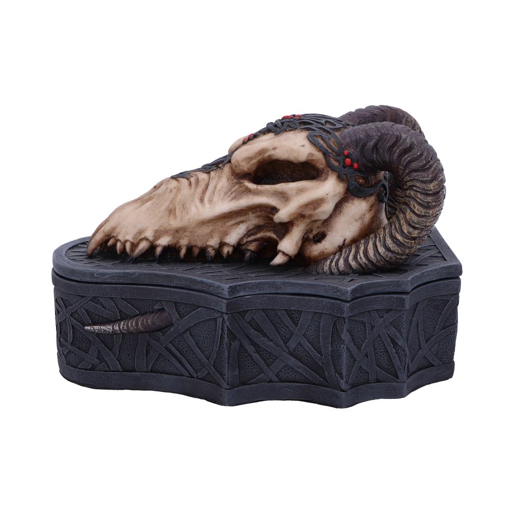 Dragon Skull Box