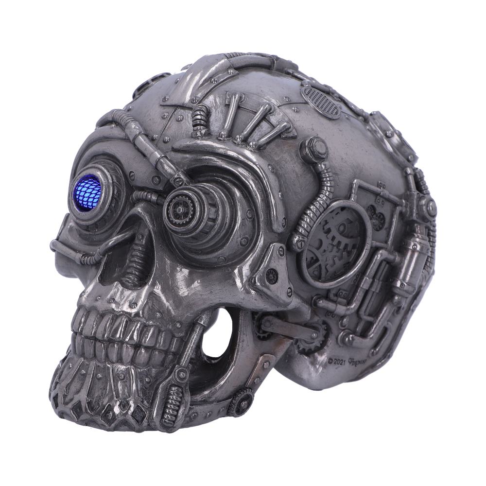 Cybertron Skull