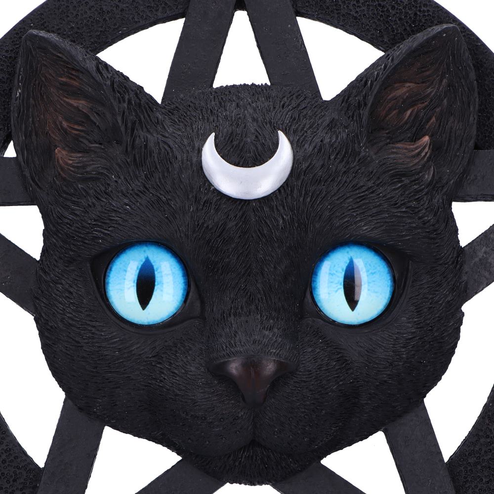 Feline Worship Cat Pentagram Wall Plaque