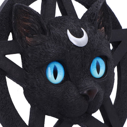 Feline Worship Cat Pentagram Wall Plaque