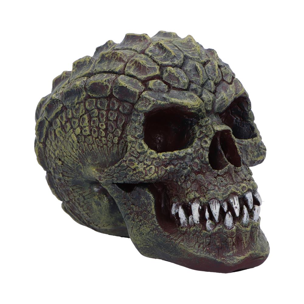 Reptilian Skull