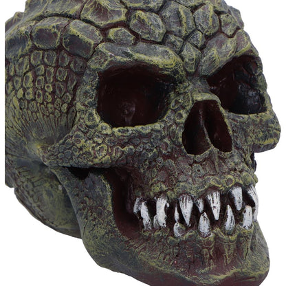 Reptilian Skull