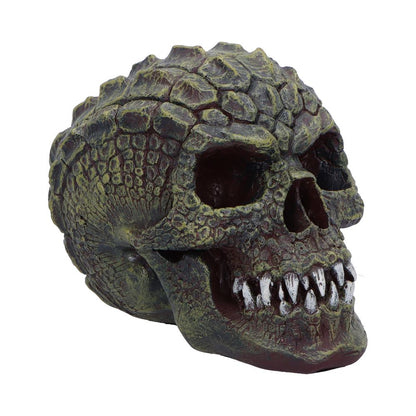 Reptilian Skull