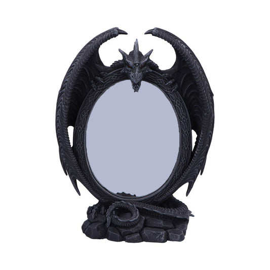 Scaled Reflection Dragon Mirror