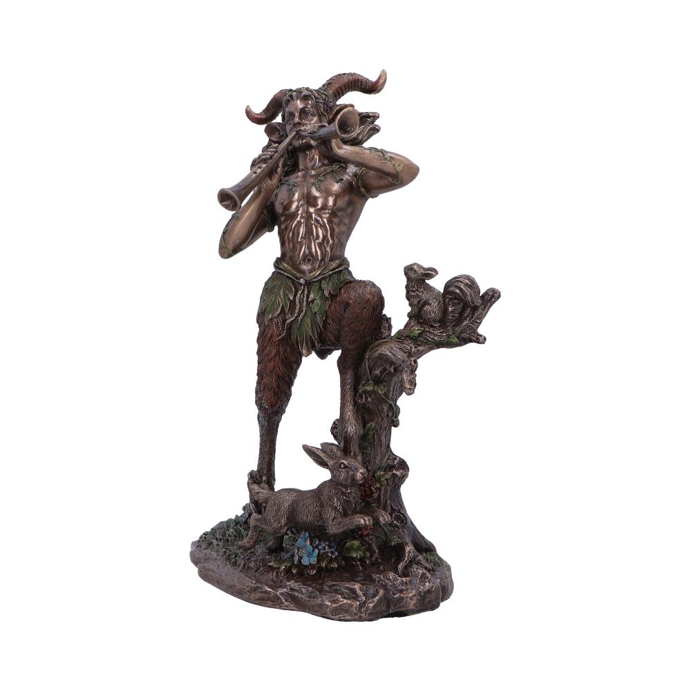 Satyr Nature Spirit