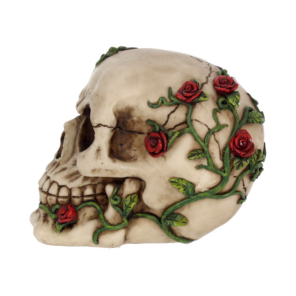 Rose From Beyond Skull