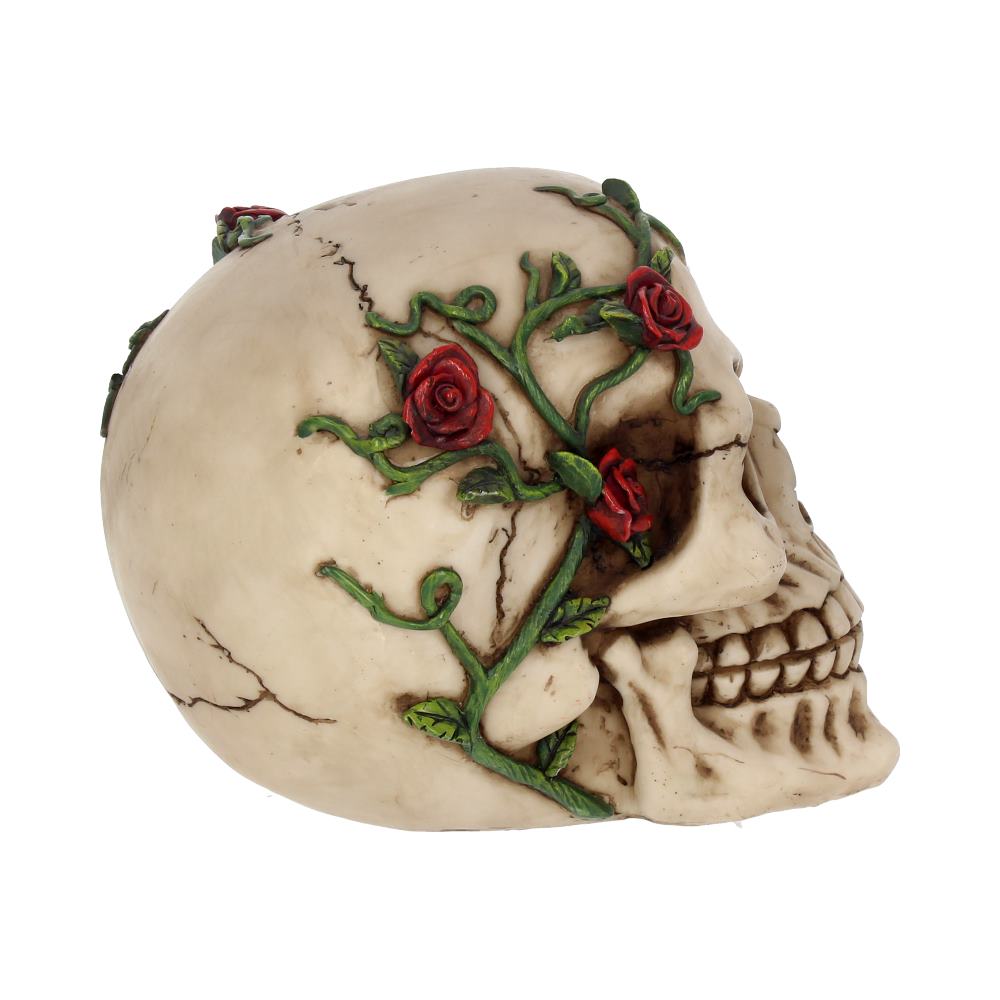 Rose From Beyond Skull