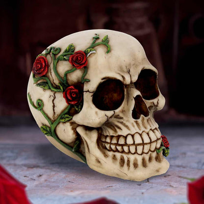 Rose From Beyond Skull