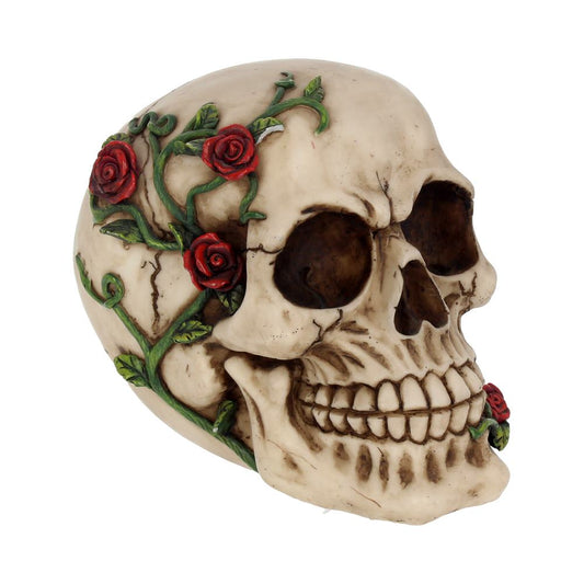 Rose From Beyond Skull