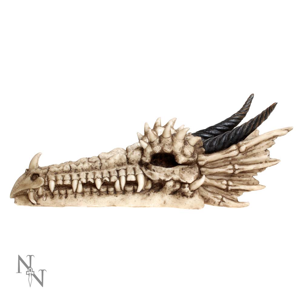 Draco Skull Incense Holder