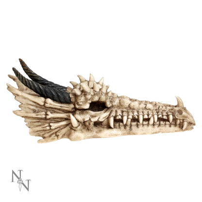 Draco Skull Incense Holder