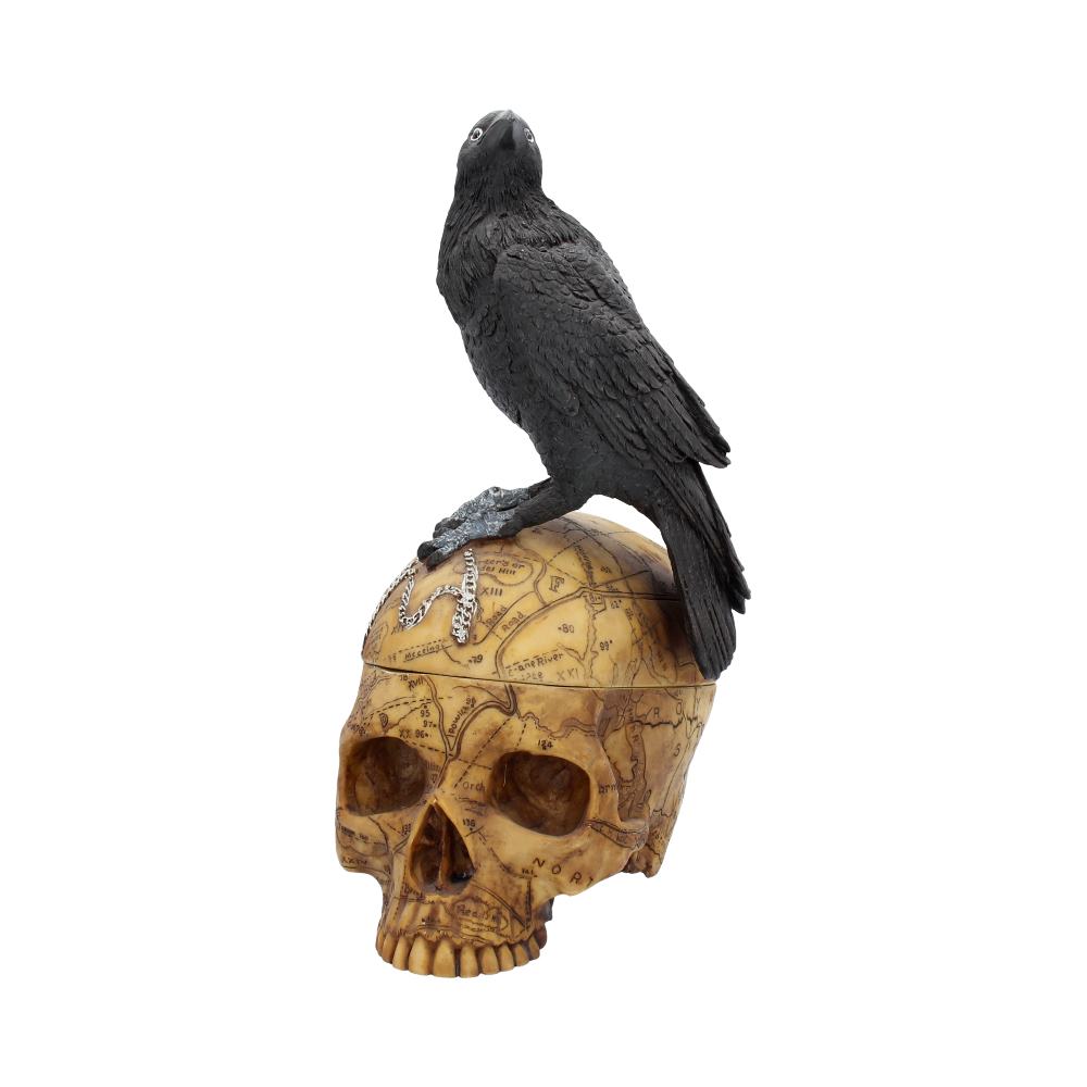 Salem's Familiar Raven Skull Box