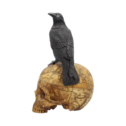 Salem's Familiar Raven Skull Box