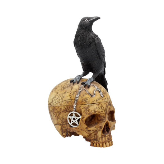 Salem's Familiar Raven Skull Box