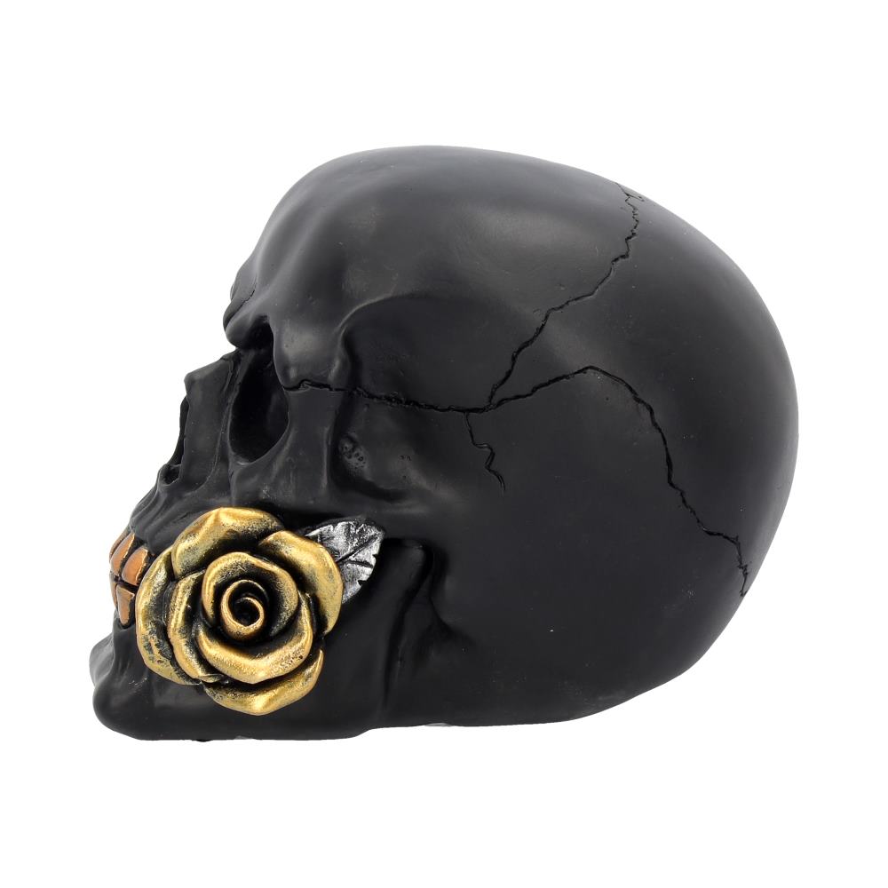 Black Rose From the Dead Skull Figurine