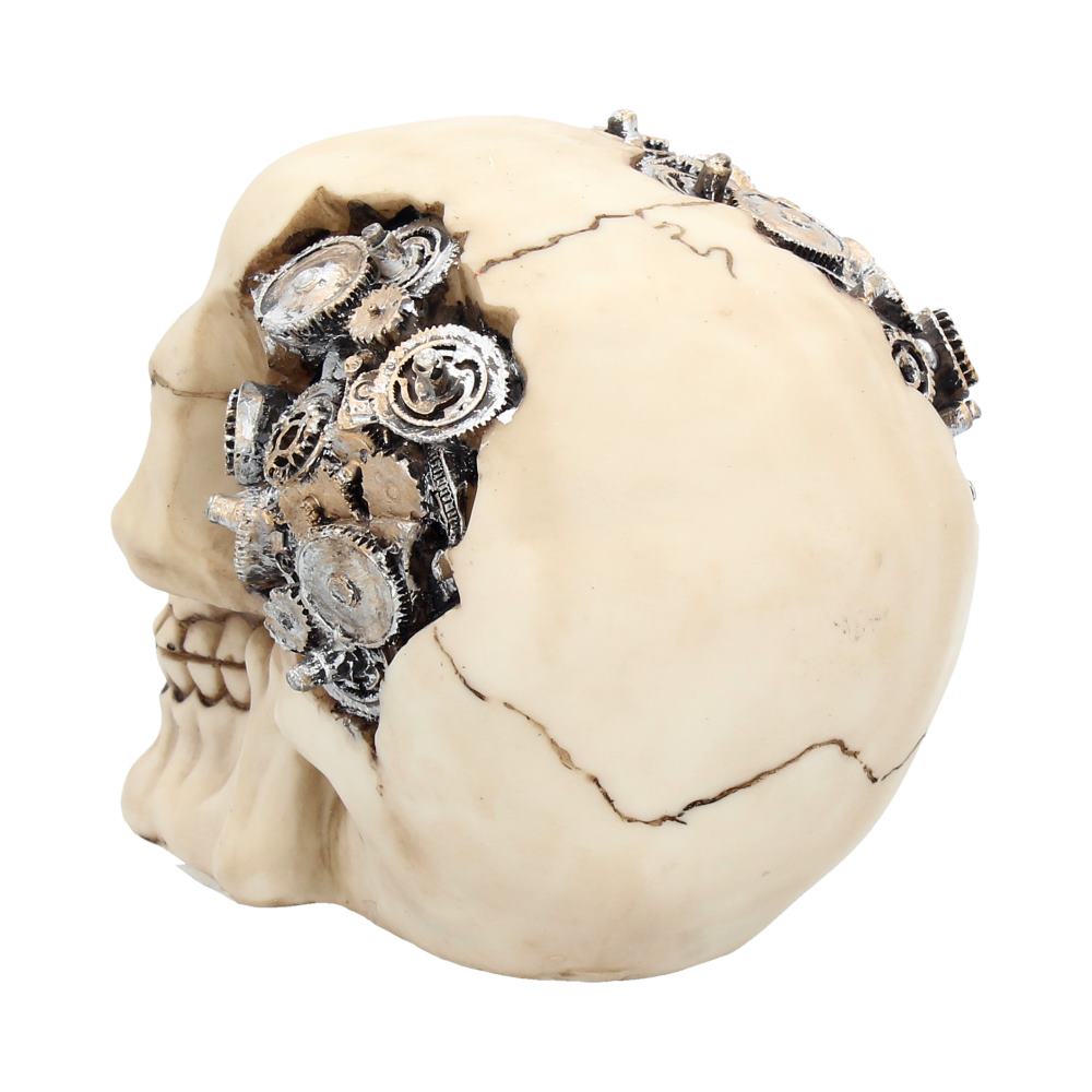 Clockwork Cranium Skull