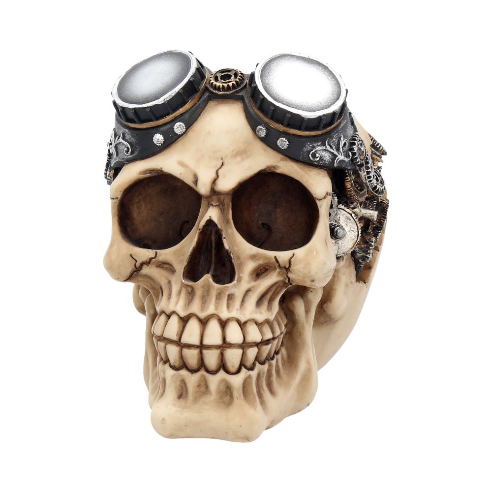 Goggles Skull