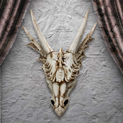 The Last Dragon Skull