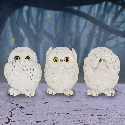 Three Wise Owls