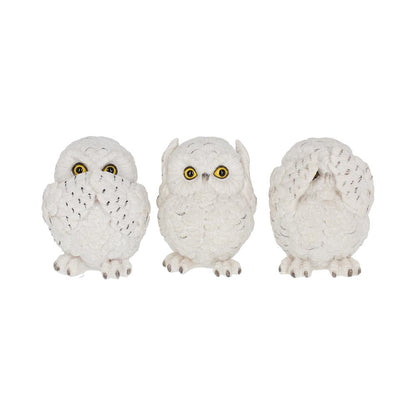 Three Wise Owls