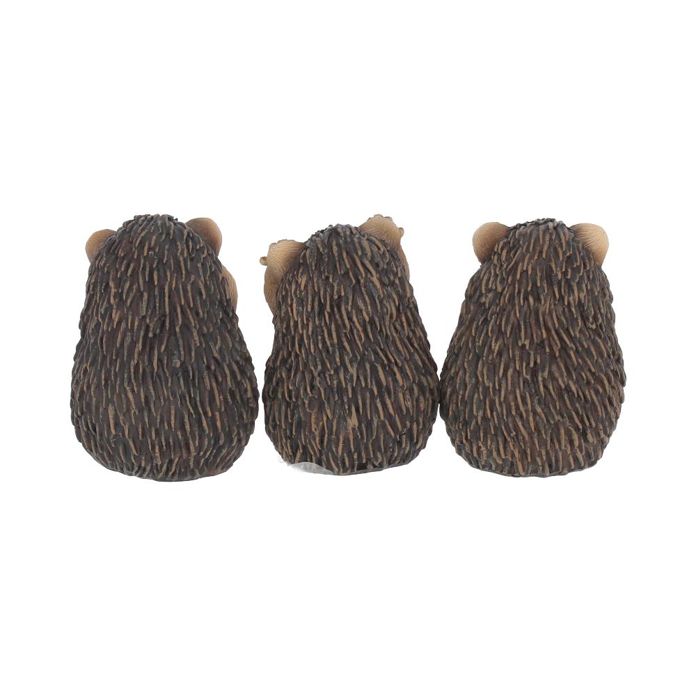 Three Wise Hedgehogs