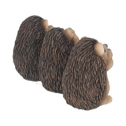 Three Wise Hedgehogs