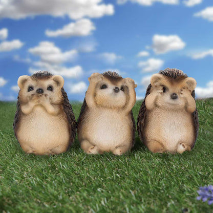 Three Wise Hedgehogs