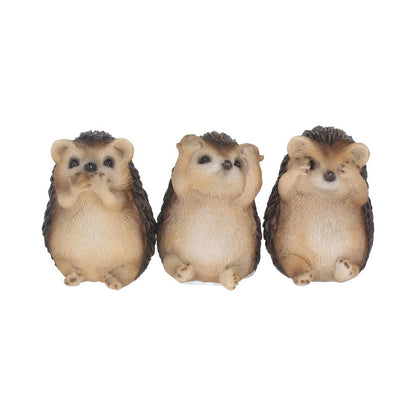 Three Wise Hedgehogs