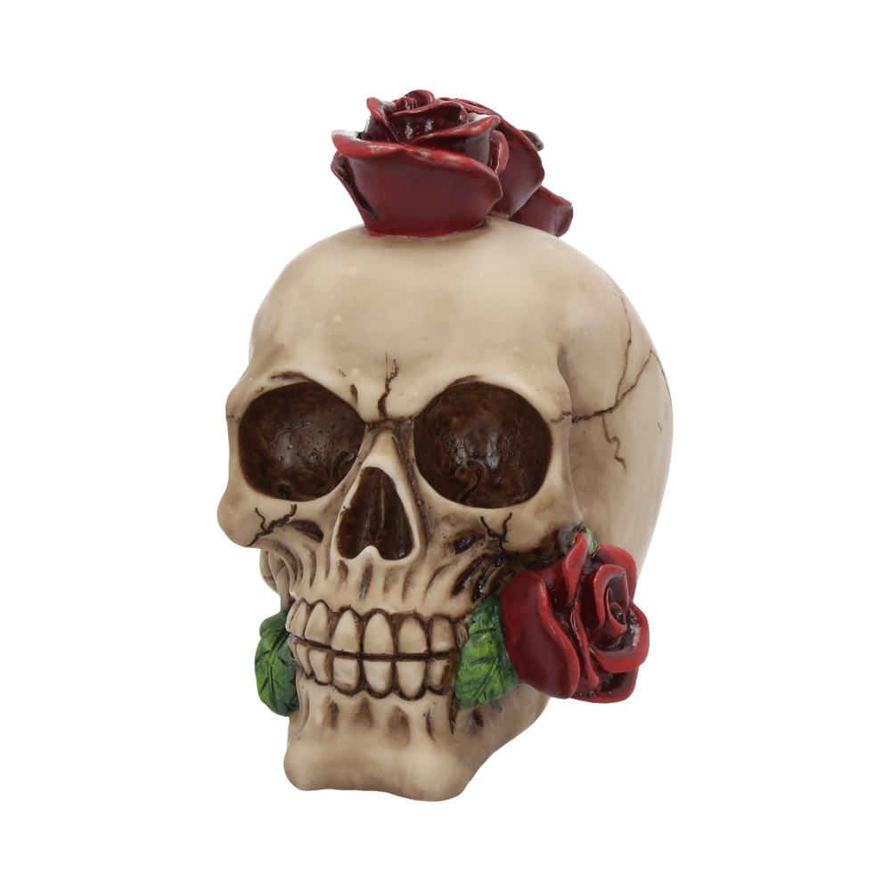 Rosehawk Skull