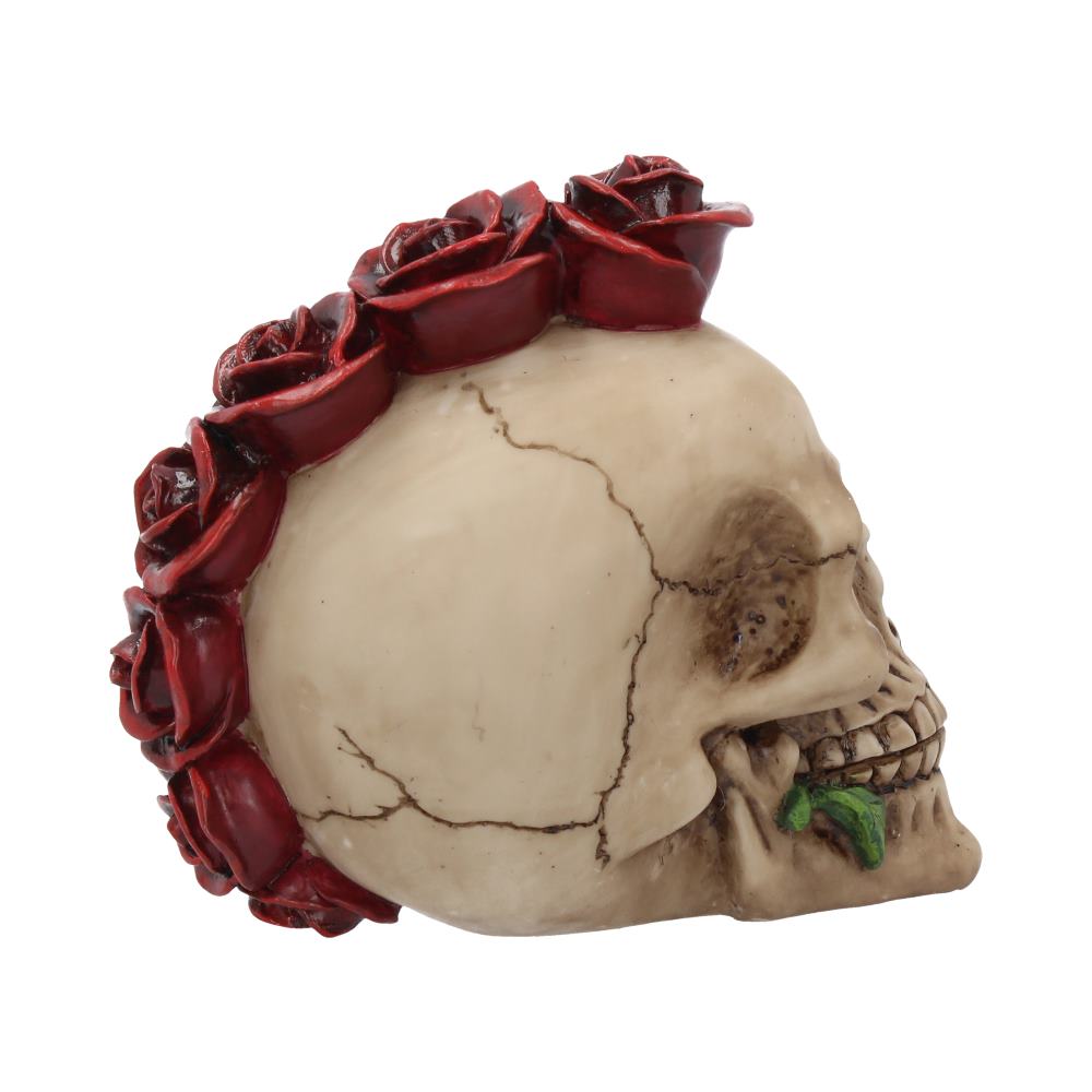 Rosehawk Skull