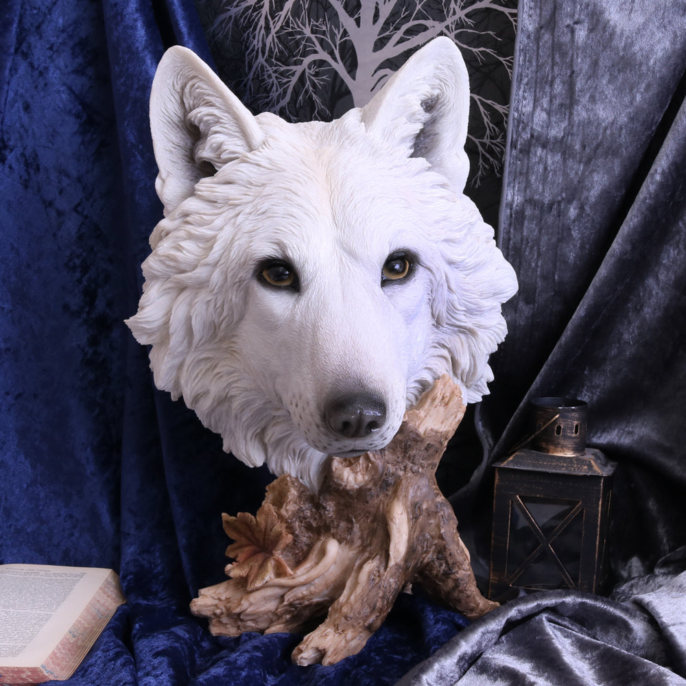 Wild Winter White Wolf Bust