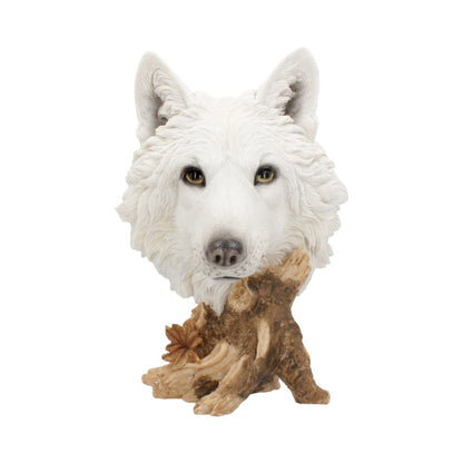 Wild Winter White Wolf Bust