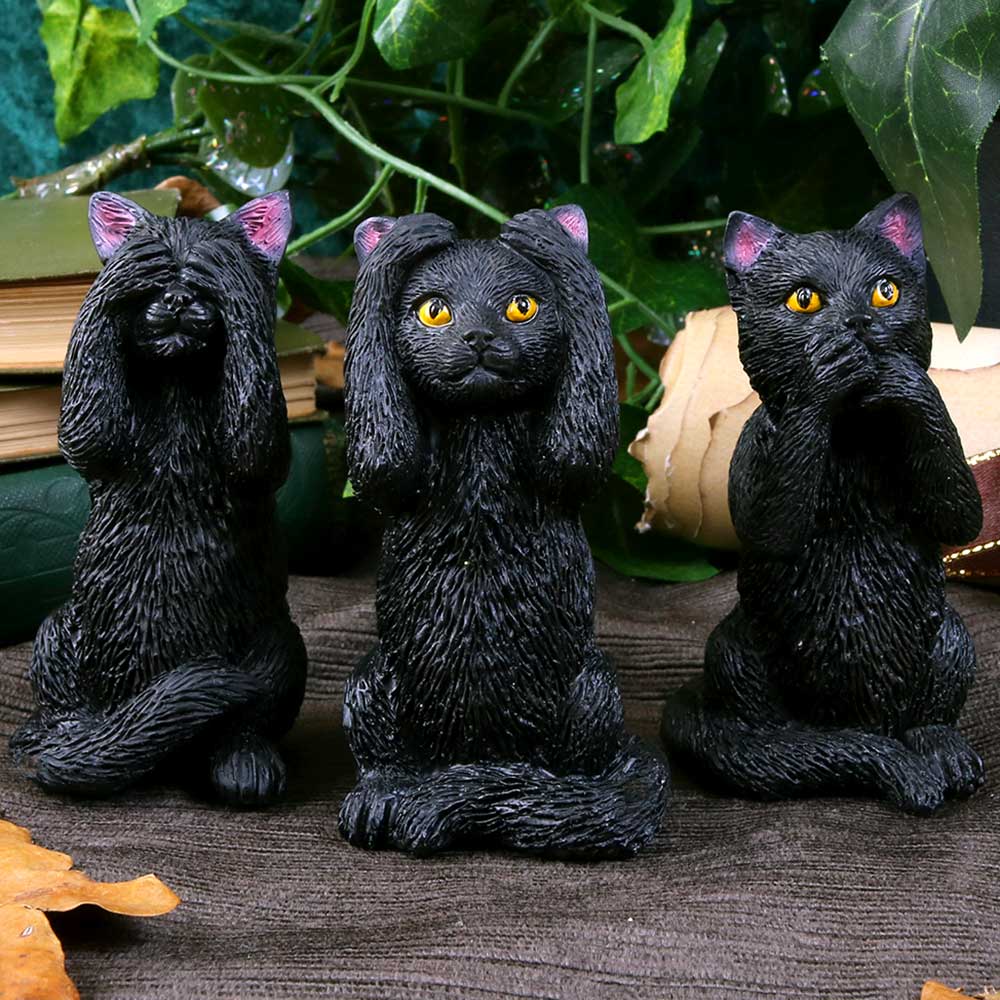 Three Wise Felines