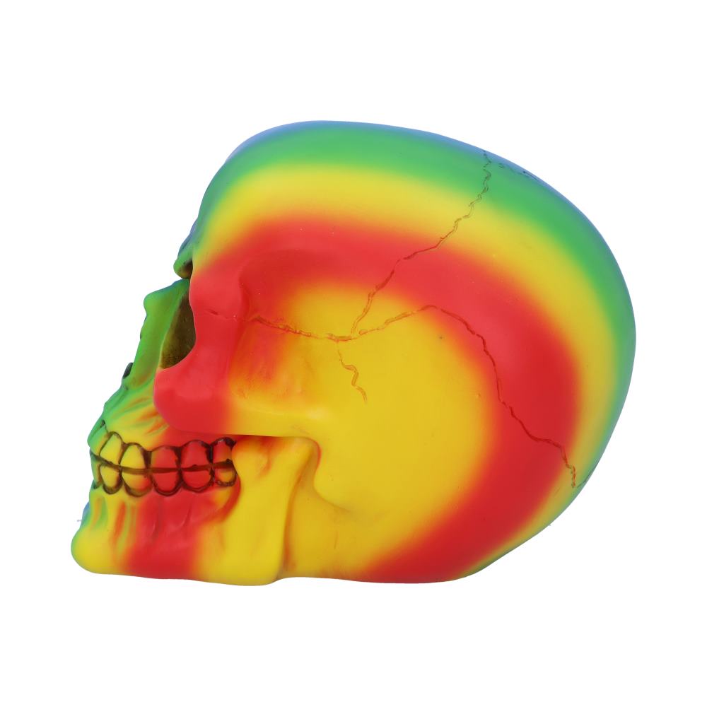 Rainbow Skull