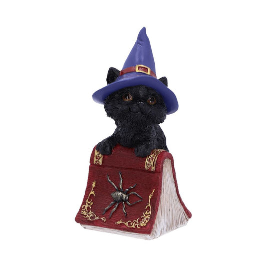 Hocus Spellbook Kitty